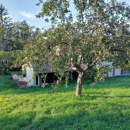 La Casa Dei Sogni!! Con Ampio Giardino E Bosco Integrato, Il Posto Ideale Per Una Vacanza All'aria Aperta. Colfiorito