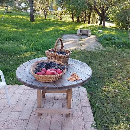 Casa vacanze La Casa Dei Sogni!! Con Ampio Giardino E Bosco Integrato, Il Posto Ideale Per Una Vacanza All'aria Aperta. *